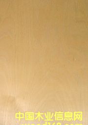 ���a(ch��n)��ľ