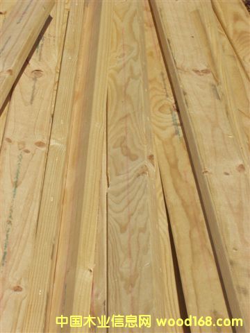 ݗ���ɰ�ĵ�Ԕ����B