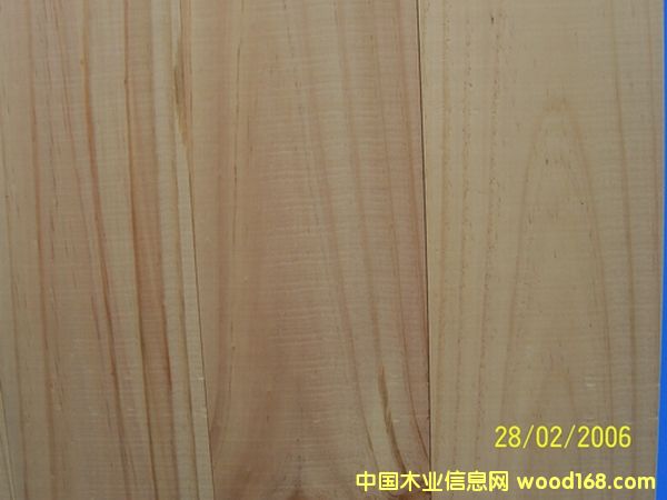 �����m��ľ��ĵ�Ԕ����B