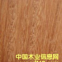 ���ۮ����g�ǘ��Ԕ����B