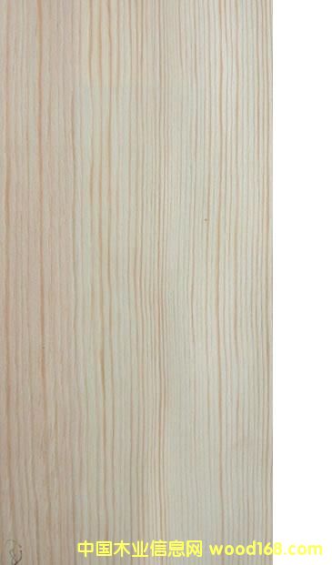 �c���鿴Pine�Ŵ�DƬ