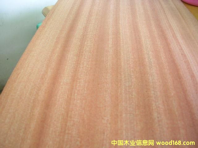 �c���鿴Sapeli�Ŵ�DƬ