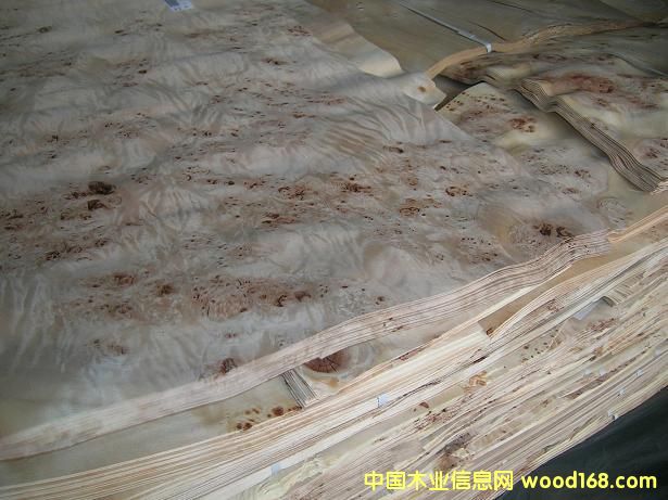 �c���鿴Mappa burl�Ŵ�DƬ