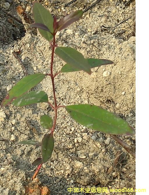 ��(d��ng)�������