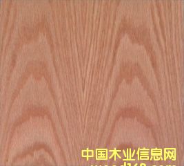 �t��ɽ�y��Ԕ��(x��)��B