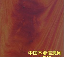 ����Ԕ��(x��)��B