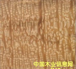 ˮ���������Ԕ��(x��)��B