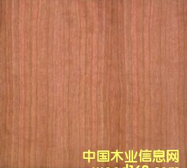 ����ֱ�y��Ԕ��(x��)��B