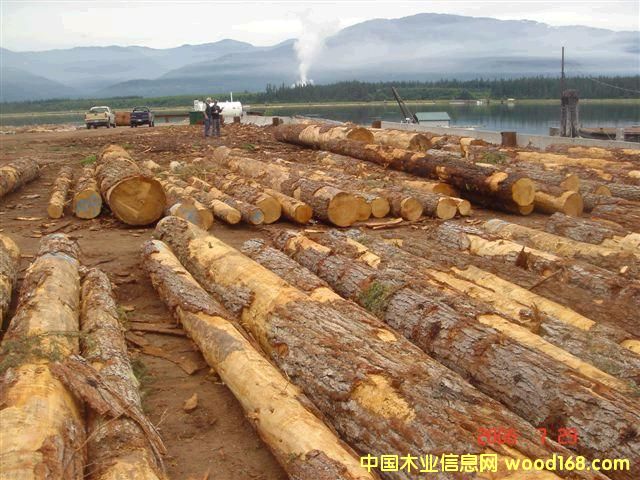 �Fɼ��Ԕ��(x��)��B