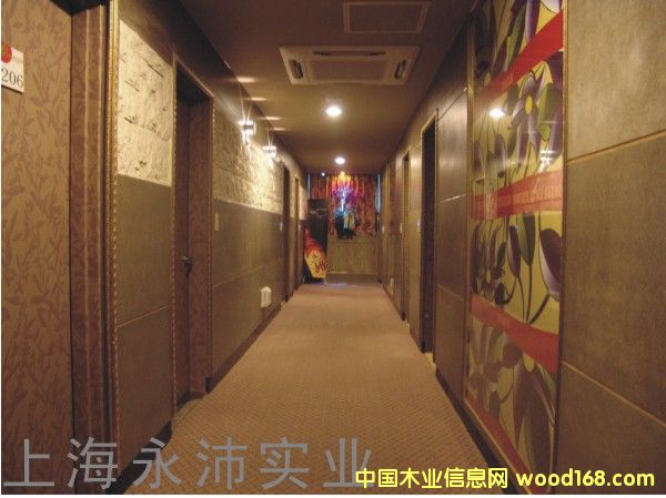 ����(y��ng)VIVAľ�zˮ��壱��Ԕ����B