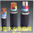 �c(di��n)���鿴19�Ŵ�DƬ