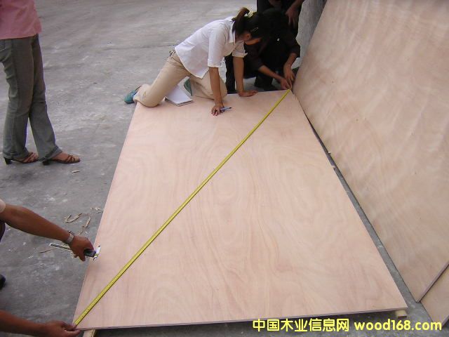 �c���鿴okoume plywood�Ŵ�DƬ