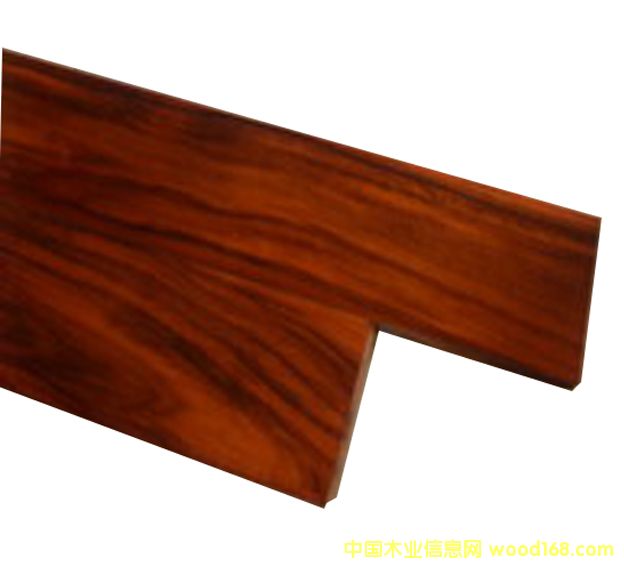 �c���鿴��˼ľ�Ŵ�DƬ