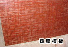 ����ģ���Ԕ����B