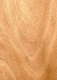 �W�������һ�о����Ԕ��(x��)��B