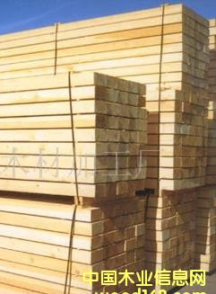 ��ľľ����Ԕ����B