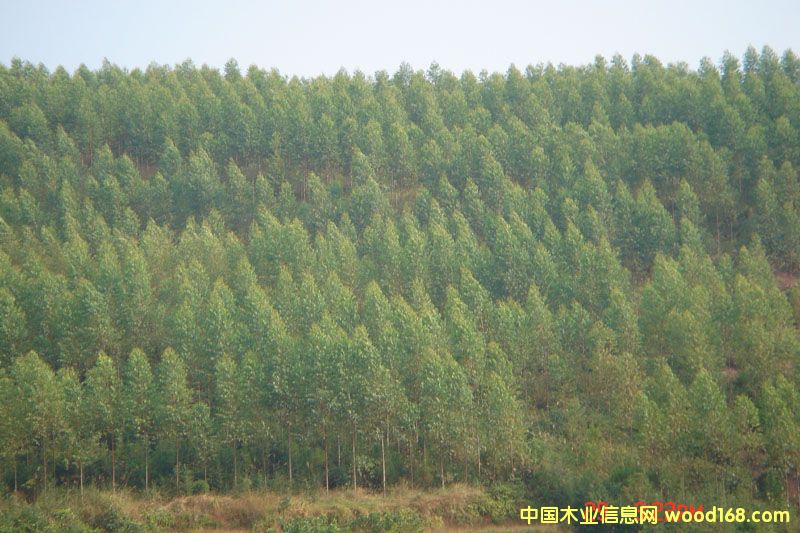 һ�������