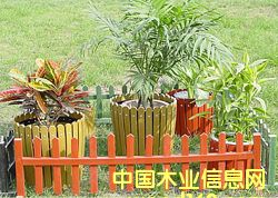 �c(di��n)���鿴��ľ���^�a(ch��n)Ʒ�Ŵ�DƬ