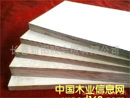 �p�x�C�_���Ԕ����B