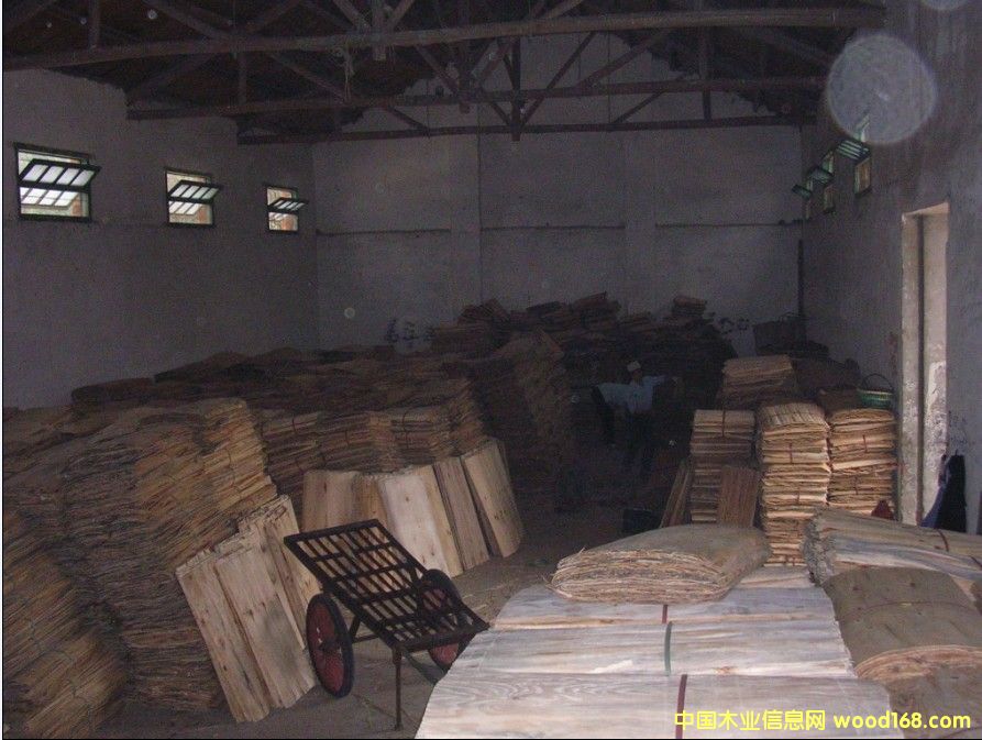 ȫ��ľо���Ԕ��(x��)��B