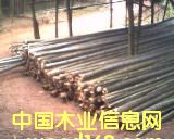 ���؛����Ԕ��(x��)��B