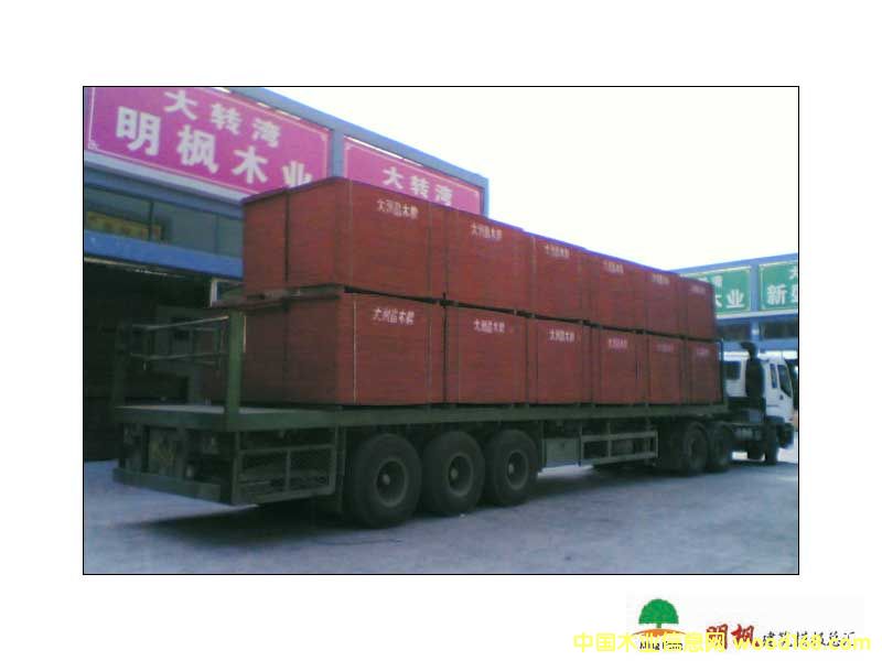 ����ģ�壨�t�壩��Ԕ��(x��)��B