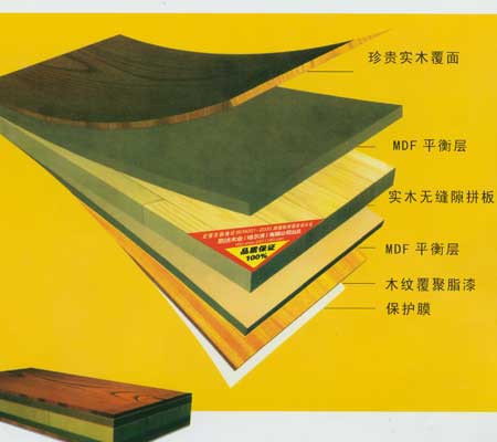 ��(f��)�ϼҾ��b��ð�