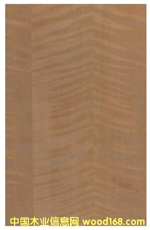 �tӰľƤ��Ԕ��(x��)��B