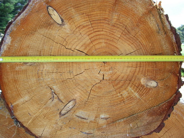 ����ԭʼ�����ɵ�Ԕ��(x��)��B