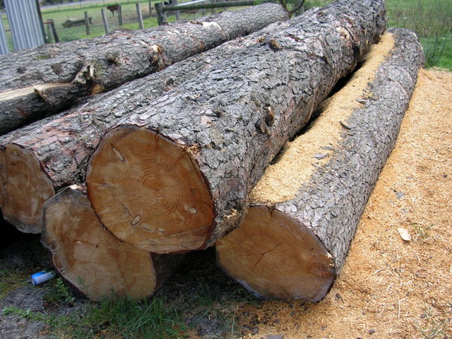 ����ԭʼ������1��Ԕ��(x��)��B