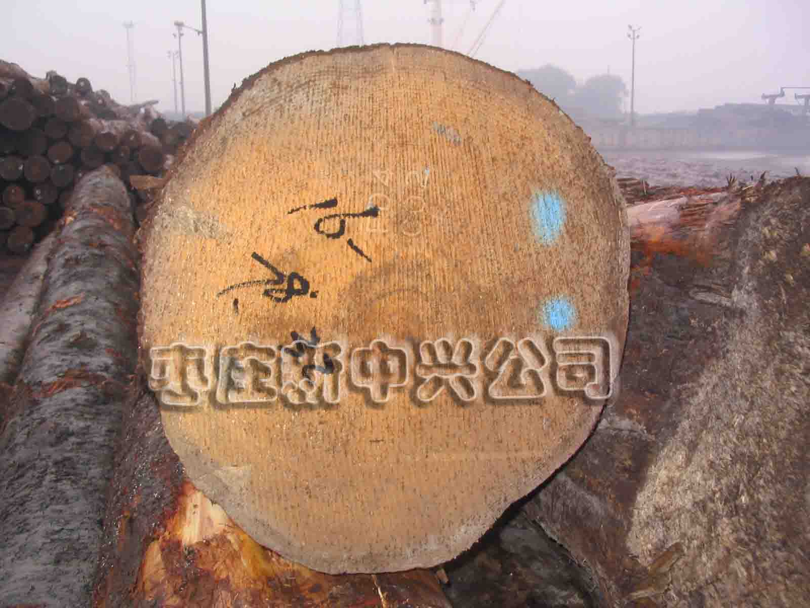 �c(di��n)���鿴��ɼ�Ŵ�DƬ