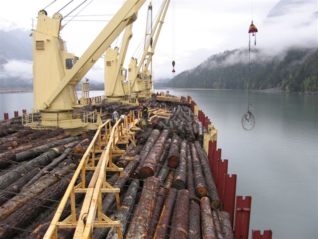 �c(di��n)���鿴���ô�ԭľ�Ŵ�DƬ