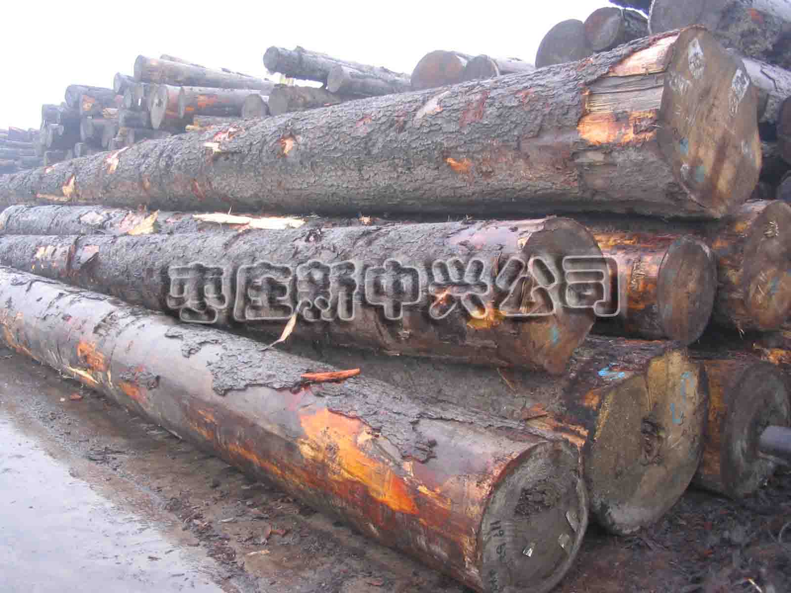 �c(di��n)���鿴��ɼ�Ŵ�DƬ