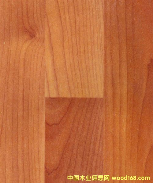 �c(di��n)���鿴ɭ�v��(f��)�ϵذ�Ŵ�DƬ