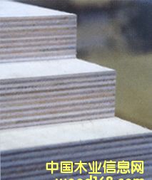 �c���鿴�z�ϰ�Ŵ�DƬ