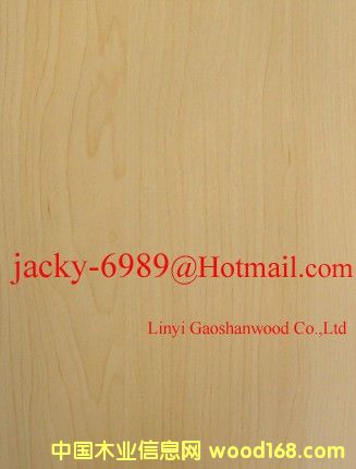 ��ľ�N����Ԕ����B