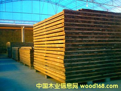 ����ľ��ĵ�Ԕ����B