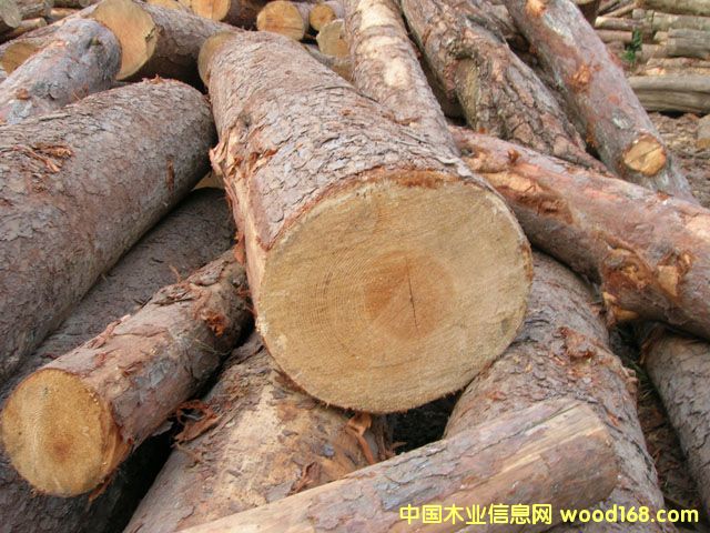 ԭľ:�Rβ�ɵ�Ԕ����B