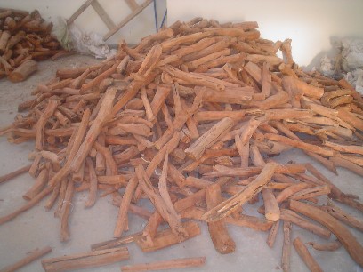 ����̴���Ԕ����B