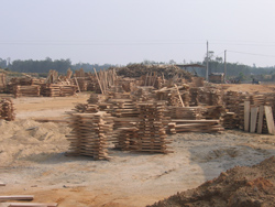 ���zľ܇�g�S�^(q��)һ��