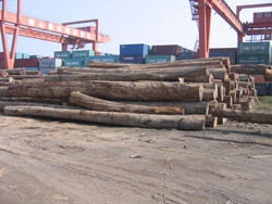 �c(di��n)���鿴�Ĵ������t��Ŵ�DƬ