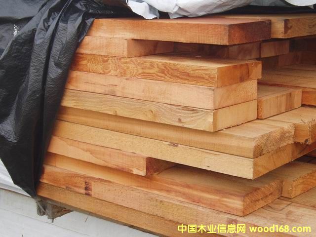 �tѩ�ɰ�ĵ�Ԕ����B