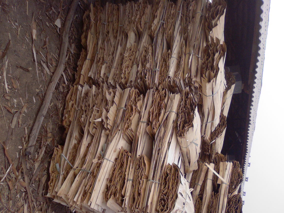 ����,�������Ԕ����B