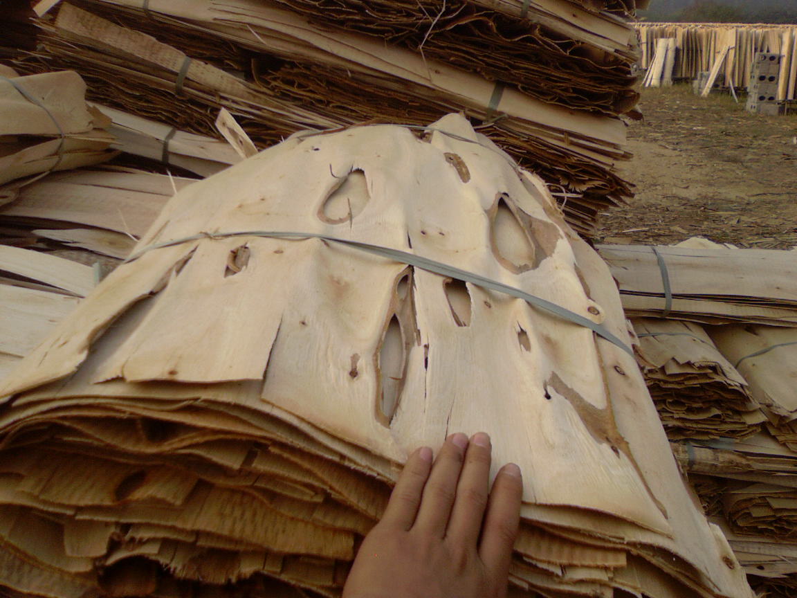 ����,�������Ԕ����B