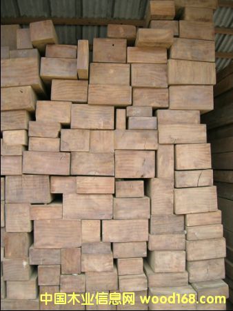 ��ľ�����飩��Ԕ��(x��)��B