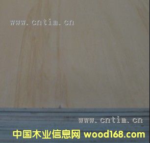 ����ؐ��ɼ�z�ϰ��Ԕ����B