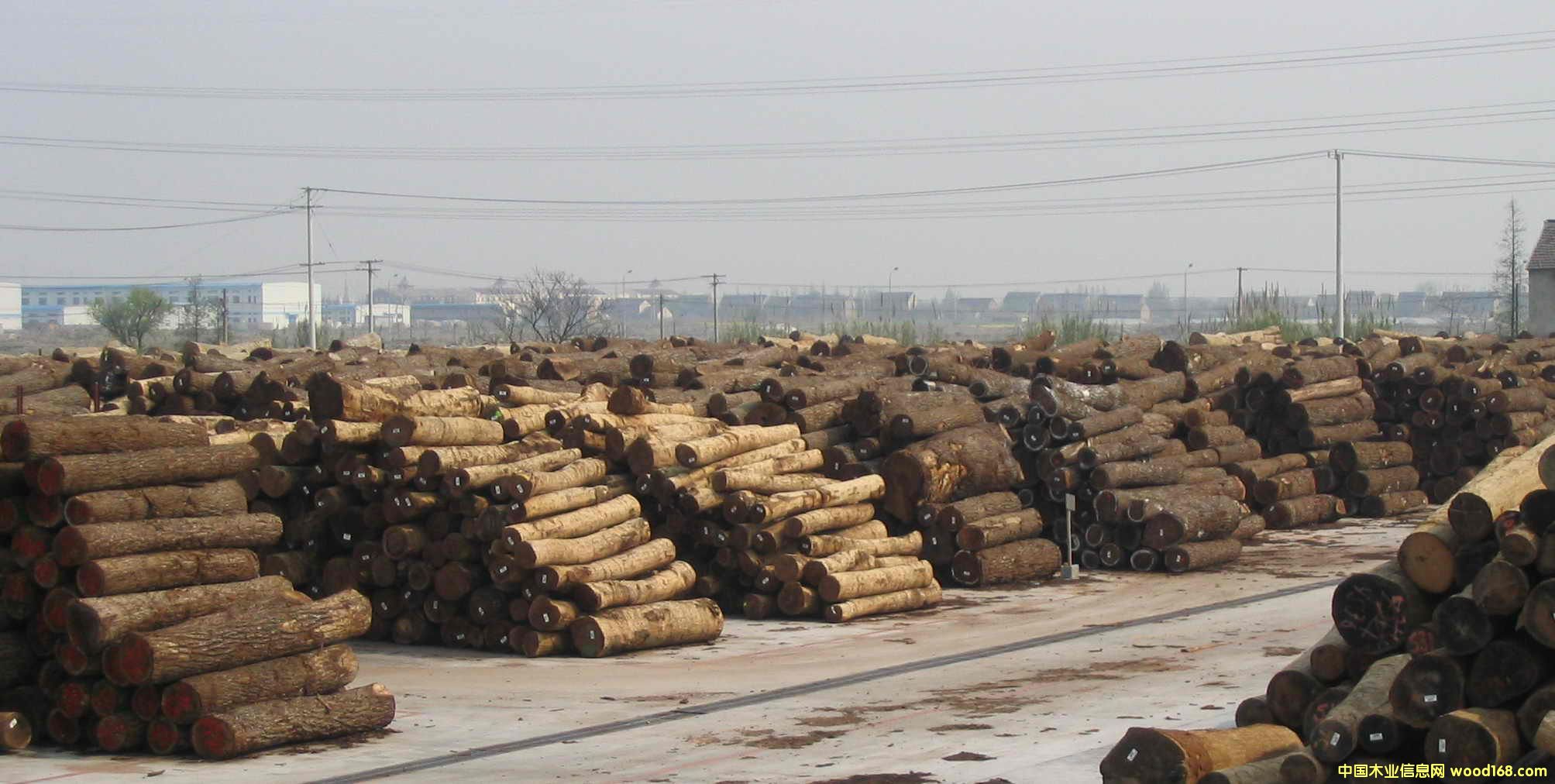 �c(di��n)���鿴�ں���ԭľ�Ŵ�DƬ