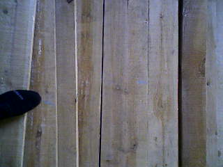 �c���鿴���ɺ�ɰ�Ŵ�DƬ