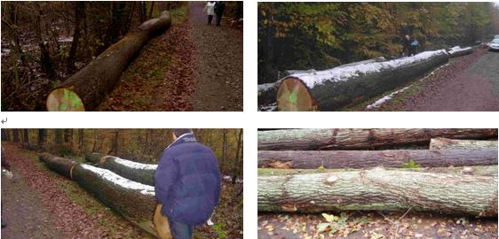 �c(di��n)���鿴��ľԭľ�Ŵ�DƬ