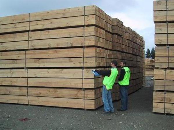 �c(di��n)���鿴�����mݗ���ɰ�ķŴ�DƬ